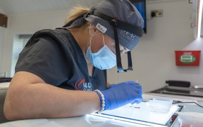 Donor Area Recovery After a Hair Transplant: Healing, Scarring & What to Expect