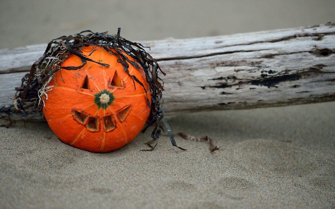 Can Taking Pumpkin Seed Oil Help with Hair Regrowth? 🎃